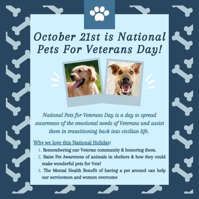 today-is-national-pets-for-veterans-day-patriot-fund