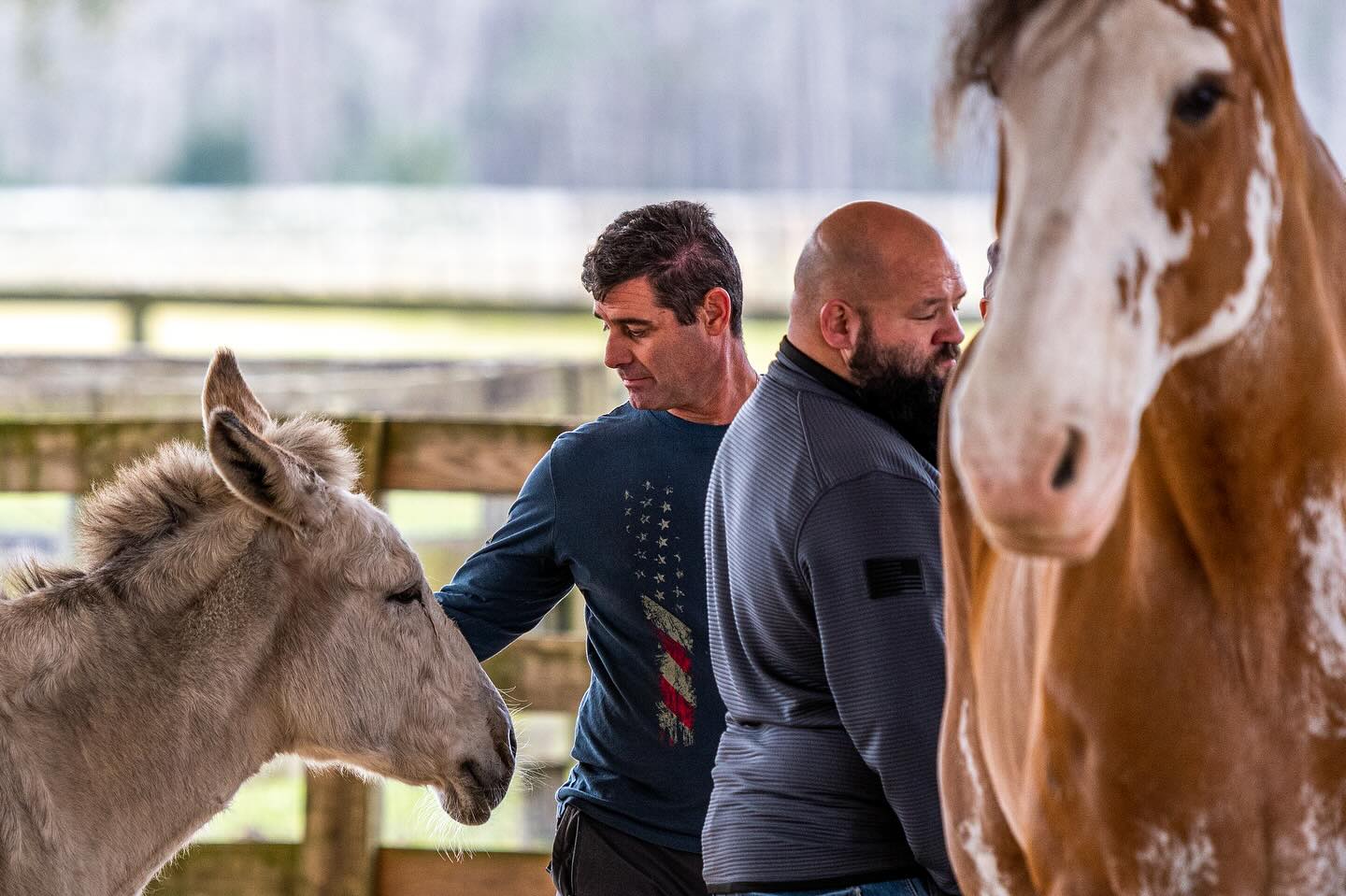 Quantum Leap Farm – Life-Saving Retreats